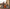 Family of four walking to a seaside cottage with a Lugg family suitcase and two child-sized cases