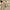 Hanging Toiletry Bag - Sage Green