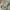 Hanging Toiletry Bag - Sage Green