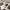 Sage Green luggage tags with passport, boarding pass and sunglasses, 10.5x1cm