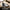 Black luggage tag clear ID window showing name, address, phone fields