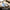 Slate Blue luggage tag clear ID window showing name, address, phone fields