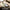 Sage Green luggage tag clear ID window showing name, address, phone fields