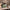 Sage green toiletry bag open on bathroom counter holding travel essentials