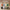 Forest Vacay cabin bag shown among all eight LUGG suitcase colourways