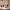 Stone Jetset underseat cabin bag shown among all eight LUGG suitcase colourways
