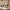 Sage Green Jetset underseat cabin bag shown among all eight LUGG suitcase colourways