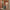 Woman wheeling Army Green LUGG Jetset cabin suitcase through hotel corridor, hand luggage