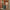 Woman wheeling LUGG Army Green medium suitcase through a hotel corridor, check-in luggage