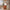 15" Soft Cabin Bag - Orange