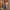 Woman wheeling LUGG Midnight Blue cabin suitcase through a hotel corridor, hand luggage