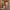 Woman wheeling Rose Gold LUGG Jetset cabin suitcase through hotel corridor, hand luggage