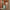 Woman wheeling LUGG Sage Green medium suitcase through a hotel corridor, check-in luggage