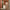 Woman wheeling LUGG Cream & Brown medium suitcase through a hotel corridor, check-in luggage