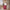 15" Soft Cabin Bag - Red
