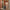 Woman wheeling Black LUGG Jetset cabin suitcase through hotel corridor, hand luggage
