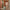 Woman in hotel corridor with lightweight Sage Green hard shell cabin suitcase, spacious design