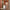 Woman wheeling LUGG Stone medium suitcase through a hotel corridor, check-in luggage