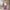 15" Soft Cabin Bag - Lilac
