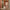 Woman in hotel corridor with lightweight Cream & Brown hard shell cabin suitcase, spacious design