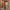 Woman in hotel corridor with lightweight Army Green hard shell cabin suitcase, spacious design