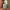 28" Jetset Large Suitcase - Sage Green