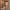 Woman in hotel corridor with lightweight Rose Gold hard shell cabin suitcase, spacious design