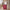 20" Mars Soft Cabin Bag - Red