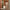 Woman wheeling Cream & Brown LUGG Jetset cabin suitcase through hotel corridor, hand luggage