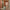 Woman in hotel corridor with lightweight Sage Green hard shell cabin suitcase, spacious design