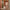 Woman in hotel corridor with lightweight Cream & Brown hard shell cabin suitcase, spacious design