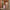 Woman wheeling LUGG Rose Gold medium suitcase through a hotel corridor, check-in luggage