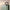 Close-up of Sage Green Sky Rover ABS hard shell corner and telescopic handle, 15-inch cabin bag