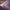 15" Soft Cabin Bag - Lilac