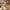 28" Jetset Large Suitcase - Sage Green