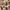 Vacay Army Green XL suitcase styled for business trips, city breaks and adventures
