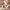 Vacay Stone XL suitcase styled for business trips, city breaks and adventures