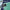 15" Vacay Cabin Bag - Mint