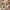 Vacay Sage Green XL suitcase styled for business trips, city breaks and adventures
