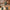 28" Jetset Large Suitcase - Army Green