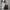 20" Vacay Cabin Suitcase - Shadow