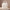 Waterproof Duffle & Toiletry Bag Set - Ivory