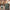 32" Sky Rover XL Suitcase - Army Green