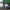 40cm Vacay Underseat Cabin Bag - Forest
