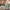 32" Sky Rover XL Suitcase - Sage Green
