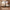 Packed interior of Oxblood Sky Rover 40cm cabin bag with clothing and travel accessories