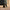 Close-up of Army Green Sky Rover cabin bag 360 spinner wheels gliding smoothly and quietly