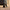 24" Sky Rover Medium Suitcase - Black