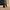 24" Sky Rover Medium Suitcase - Army Green