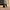 32" Sky Rover XL Suitcase - Gunmetal